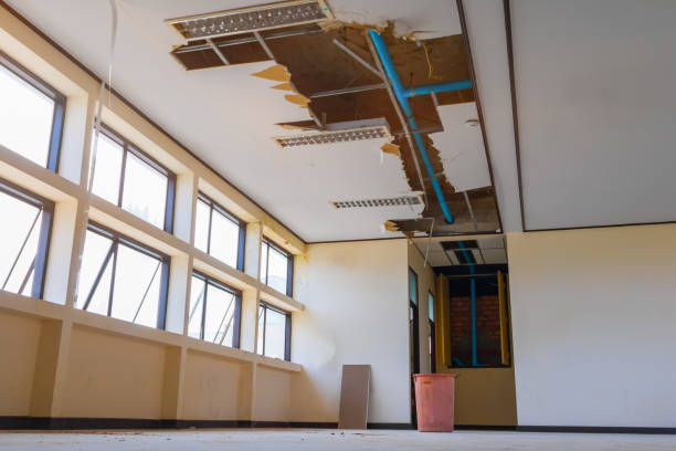 Best Commercial water damage restoration  in Cleves, OH