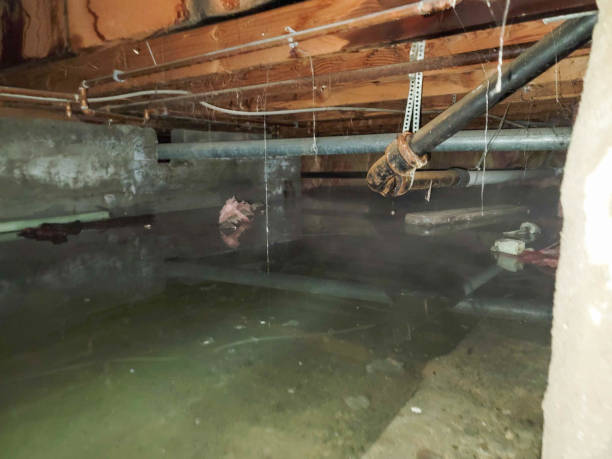 Best 24/7 water damage repair  in Cleves, OH