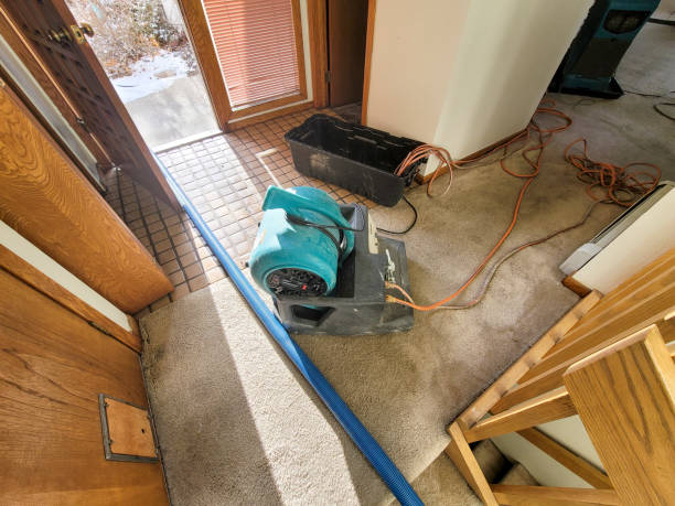 Best Professional water damage repair  in Cleves, OH