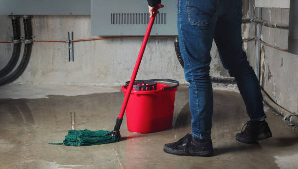 Best 24/7 water damage repair  in Cleves, OH